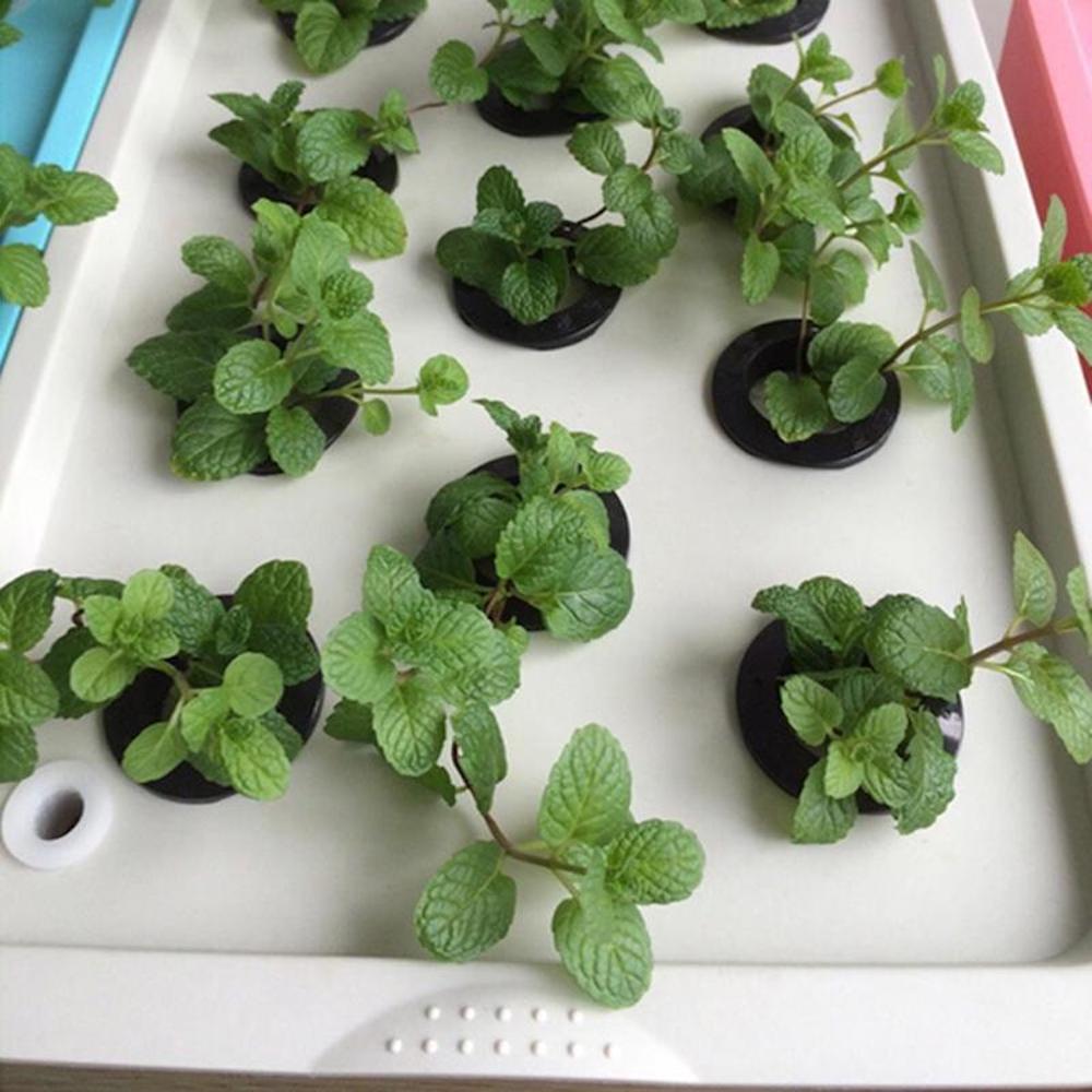 Hydroponic Planter, 11 Cup: image 2