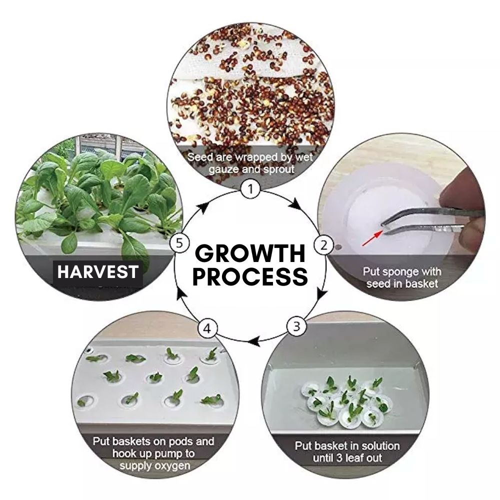 Hydroponic Planter, 11 Cup: image 6