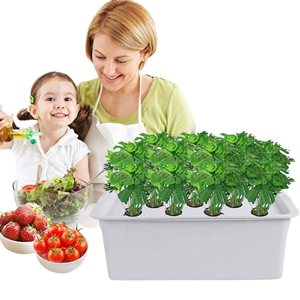 Hydroponic Planter, 11 Cup: image 9