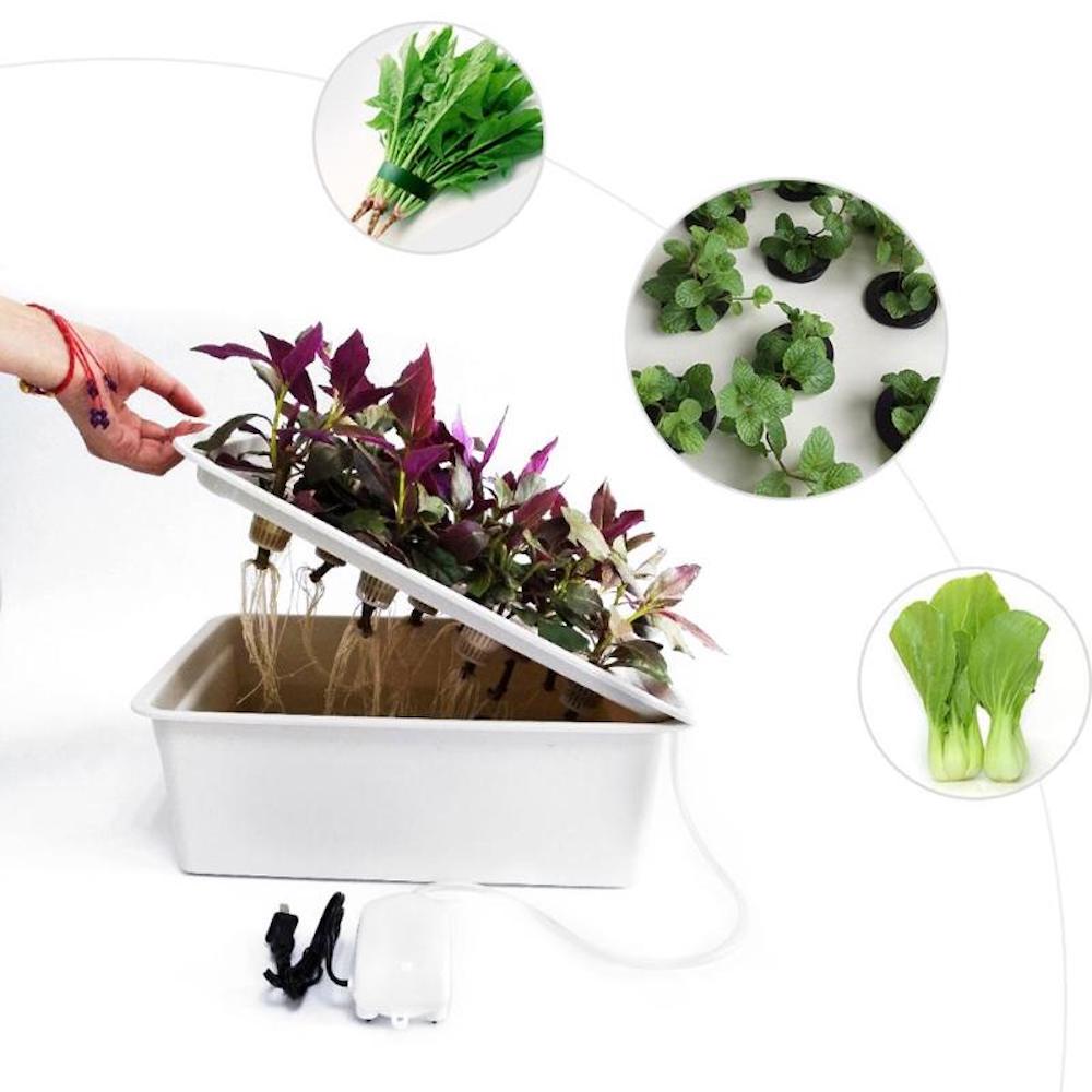 Hydroponic Planter, 11 Cup