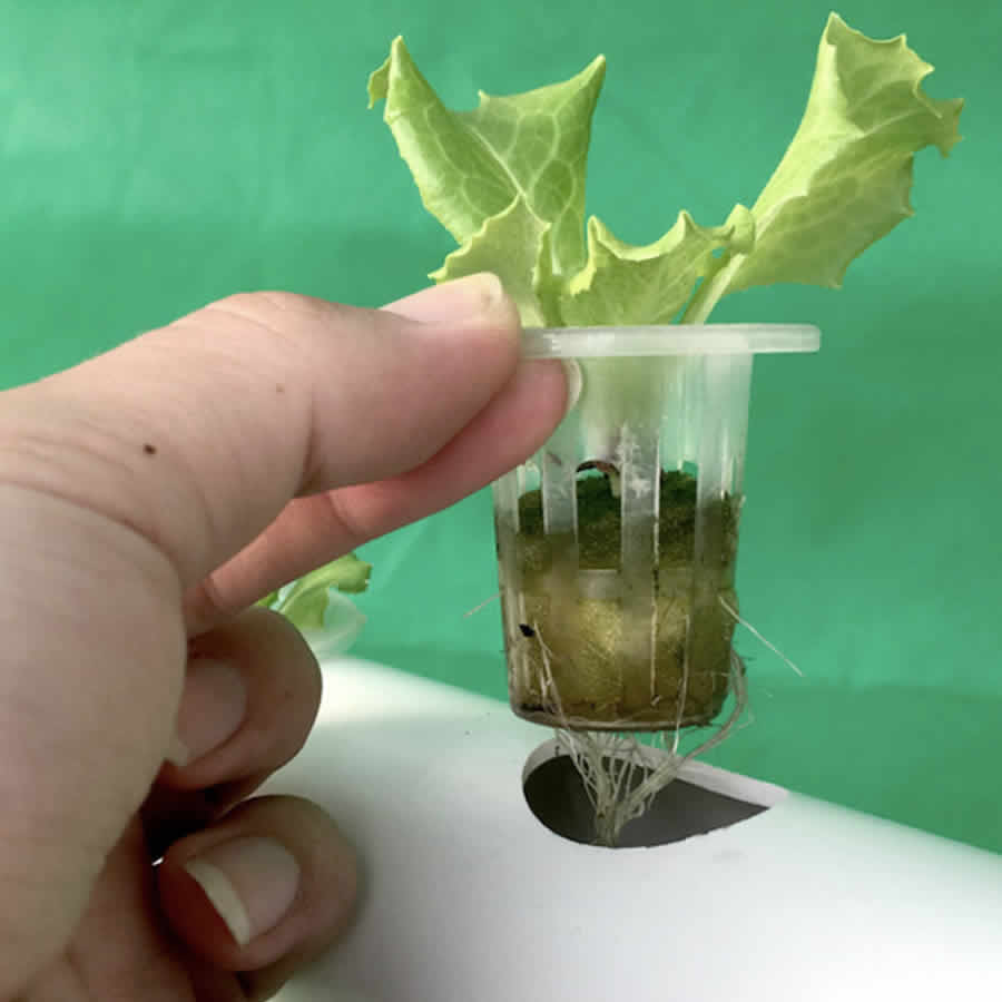 108 Cup NFT Hydroponics Kit: image 7