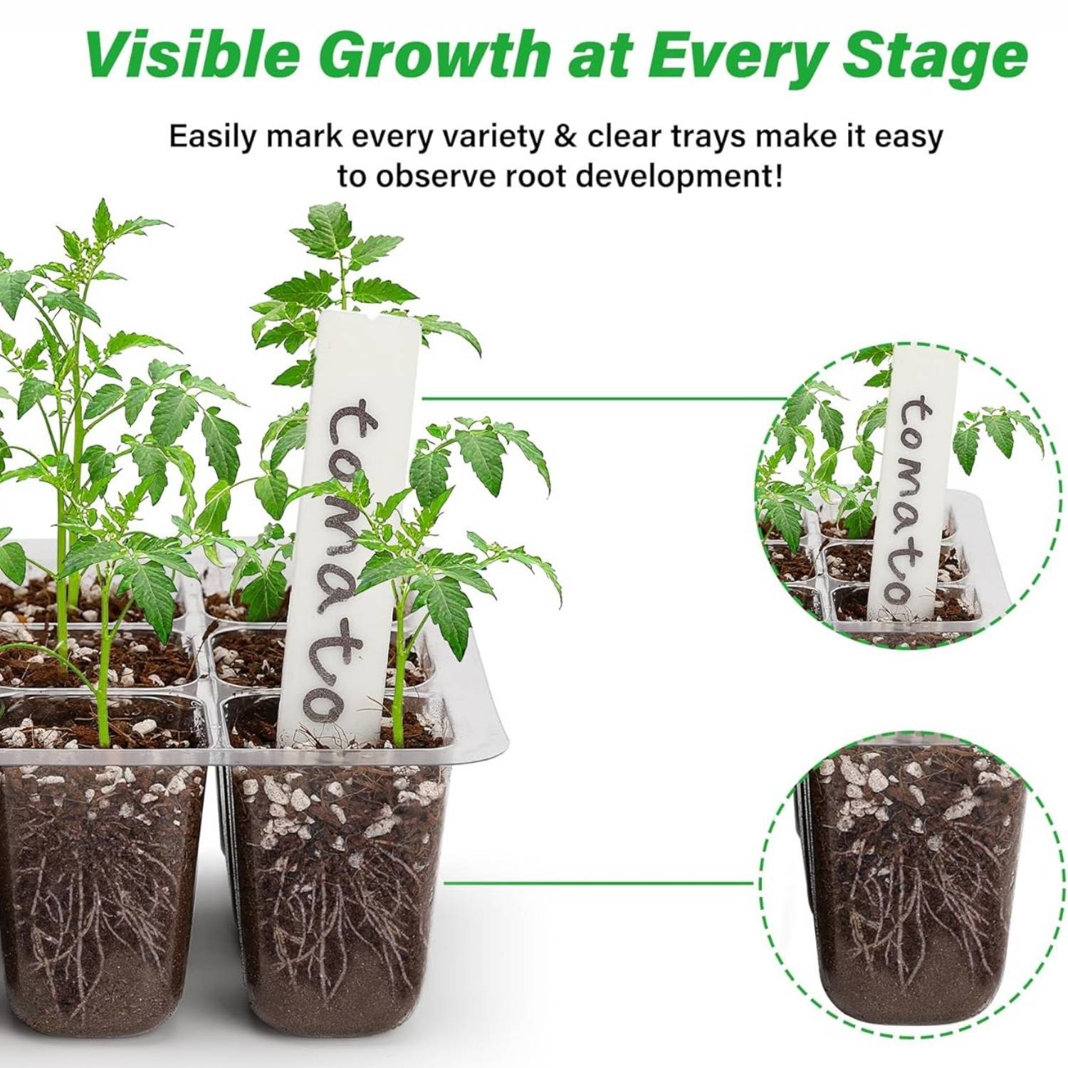 Seed Starter Container, Pack of 5: image 7