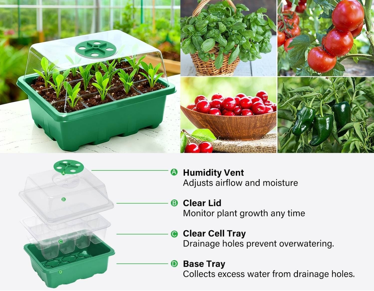 Seed Starter Container, Pack of 5: image 12
