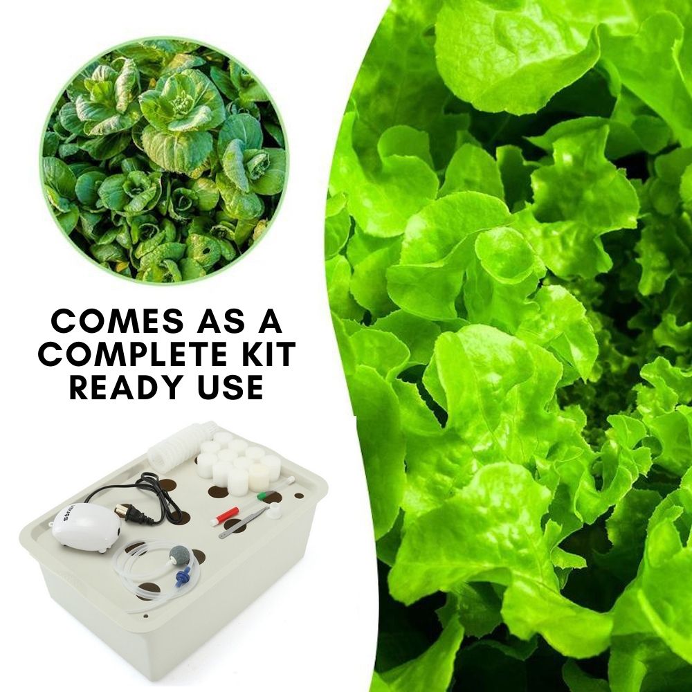 Deep Water Culture Hydroponic System, 11 Cup: image 5
